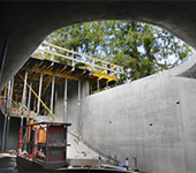 Naesseskoven Denmark